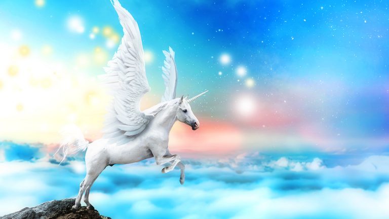 Are Podiatrists magical like Unicorns?